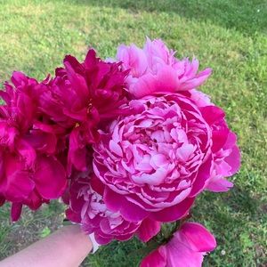 WE UPDATED OUR BUNDLE & SAVE! 25% off 3+ Items!